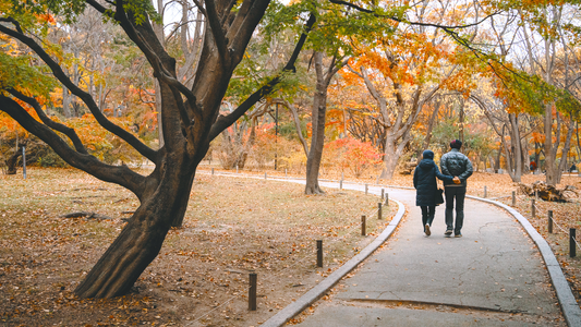 Couple walking in outdoor autumn scene 
